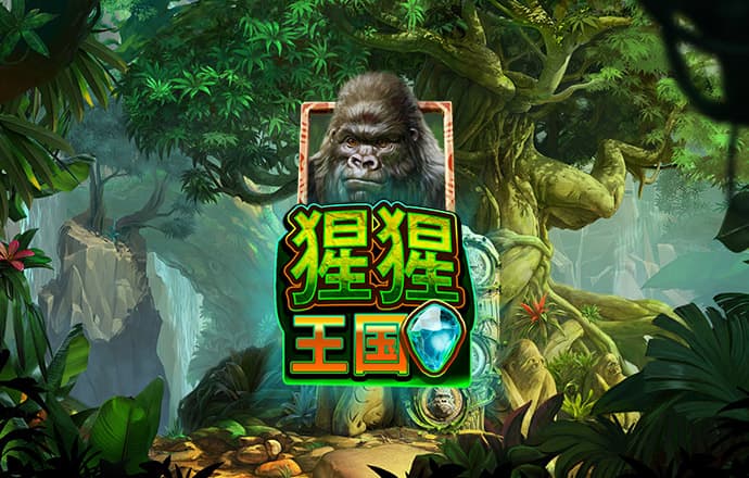 aoa体育官方官网